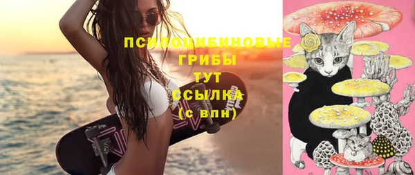 дмт Алексеевка