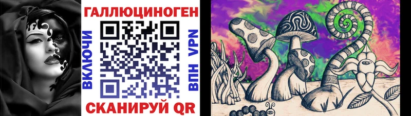 shop клад  купить закладку  Сибай  Псилоцибиновые грибы ЛСД 